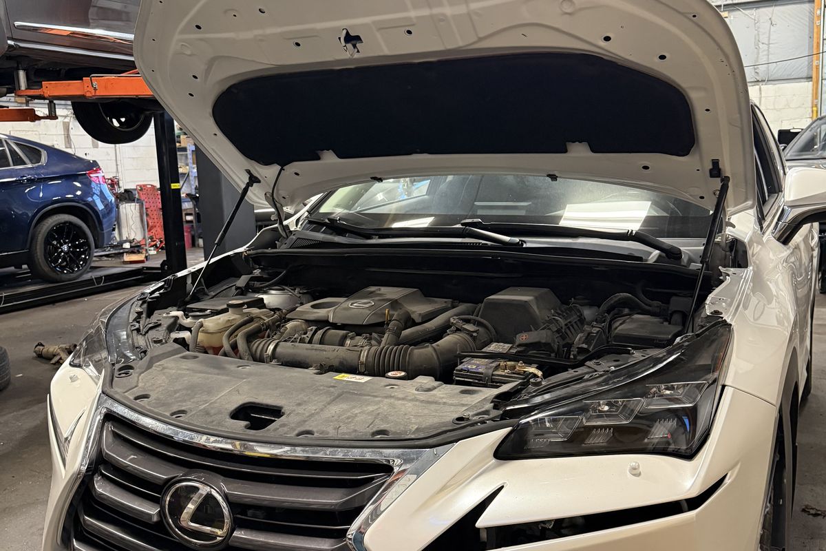 Royal Fix technician's bay — Lexus engine service with the hood up